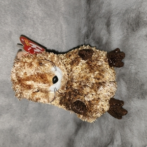 NWT Ty Beanie Babies Punxsutawney‎ Phil 2002